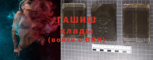 2c-b Ельня