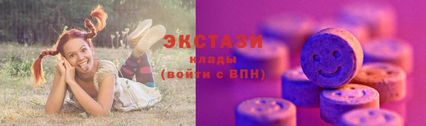 2c-b Ельня