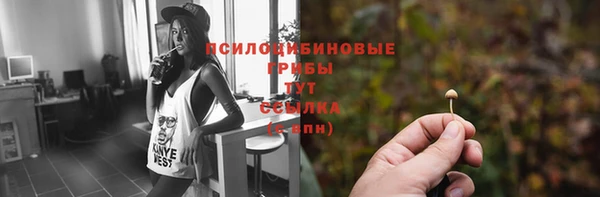 гидропоника Елизово