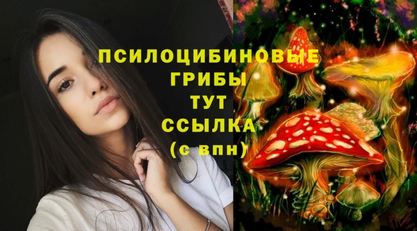 тгк Заводоуковск