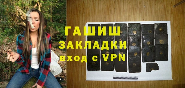 2c-b Ельня