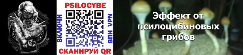 Псилоцибиновые грибы Cubensis  МЕГА как войти  Бугульма 
